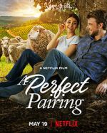 Watch A Perfect Pairing 123MovieFree