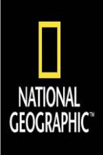 Watch National Geographic Wild War Elephants 123MovieFree