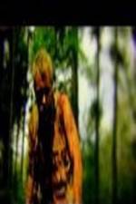 Watch The Legend of David 123MovieFree