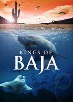 Watch Kings of Baja 123MovieFree