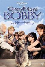Watch Greyfriars Bobby The True Story of a Dog 123MovieFree