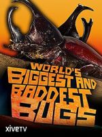 Watch World\'s Biggest and Baddest Bugs 123MovieFree