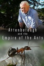 Watch Attenborough and the Empire of the Ants 123MovieFree