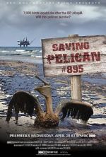 Watch Saving Pelican 895 (Short 2011) 123MovieFree