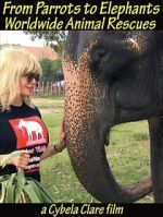 Watch From Parrots to Elephants: Worldwide Animal Rescues 123MovieFree