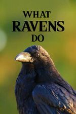 Watch What Ravens Do 123MovieFree