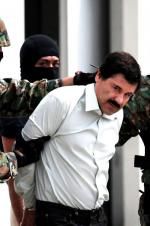Watch The Rise and Fall of El Chapo 123MovieFree