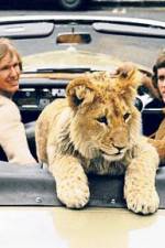 Watch The Lion Cub from Harrods 123MovieFree