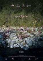 Watch Beginning 123MovieFree