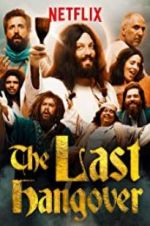 Watch The Last Hangover 123MovieFree