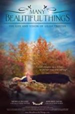 Watch Many Beautiful Things 123MovieFree