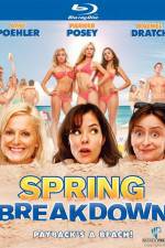 Watch Spring Breakdown 123MovieFree
