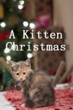 Watch A Kitten Christmas 123MovieFree