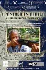 Watch A Panther in Africa 123MovieFree