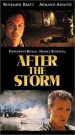Watch After the Storm 123MovieFree