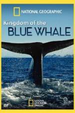 Watch National Geographic Kingdom of Blue Whale 123MovieFree