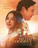 Watch The Last Goodbye 123MovieFree