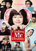 Watch Finding Mr. Destiny 123MovieFree
