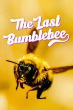 Watch The Last Bumblebee 123MovieFree