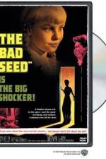 Watch The Bad Seed 123MovieFree