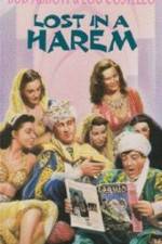 Watch Lost in a Harem 123MovieFree
