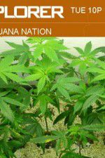 Watch Marijuana Nation 123MovieFree