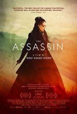 Watch The Assassin 123MovieFree