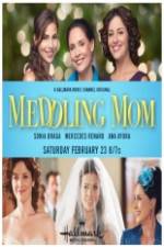 Watch Meddling Mom 123MovieFree