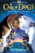 Watch Cats & Dogs 123MovieFree