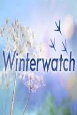 Watch Winterwatch 123MovieFree