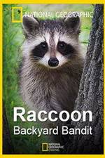 Watch Raccoon: Backyard Bandit 123MovieFree