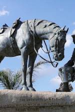 Watch War Horse: The Real Story 123MovieFree