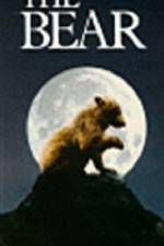 Watch The Bear - (L'ours) 123MovieFree