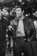 Watch The Devil's 8 123MovieFree