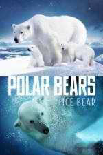 Watch Polar Bears Ice Bear 123MovieFree