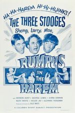 Watch Rumpus in the Harem 123MovieFree