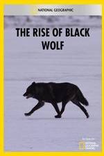 Watch The Rise of Black Wolf 123MovieFree