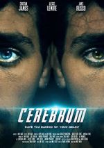 Watch Cerebrum 123MovieFree