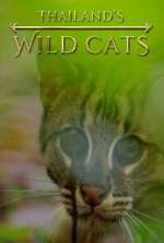 Watch Thailand's Wild Cats 123MovieFree