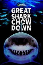 Watch Great Shark Chow Down 123MovieFree