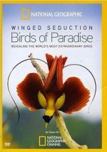 Watch Winged Seduction: Birds of Paradise 123MovieFree