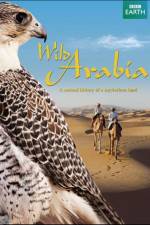 Watch Wild Arabia 123MovieFree