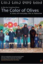 Watch The Color of Olives 123MovieFree