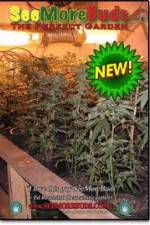 Watch SeeMoreBuds: Vol. 3 123MovieFree