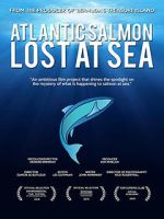 Watch Atlantic Salmon: Lost at Sea 123MovieFree