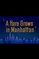 Watch A Hare Grows in Manhattan 123MovieFree
