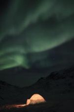 Watch The Last Igloo 123MovieFree