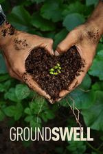 Watch Groundswell 123MovieFree