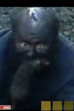 Watch The Legend of Catman 123MovieFree