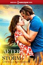 Watch After the Storm 123MovieFree